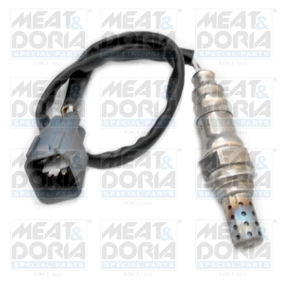 Oxygen Sensor